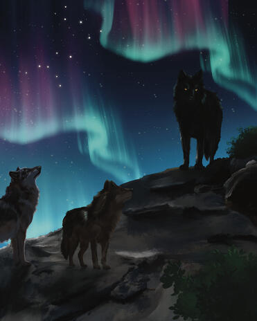 Canis Major