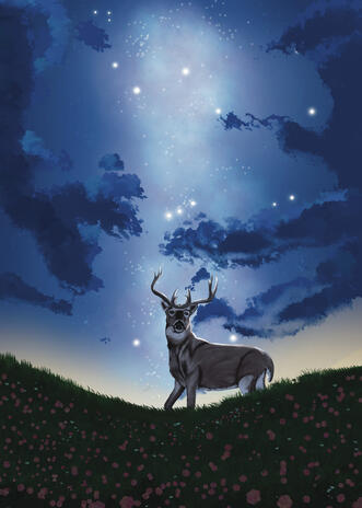 Orion Orion